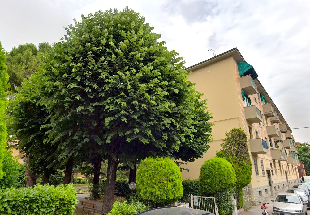 vendita appartamento bologna  Santa Viola