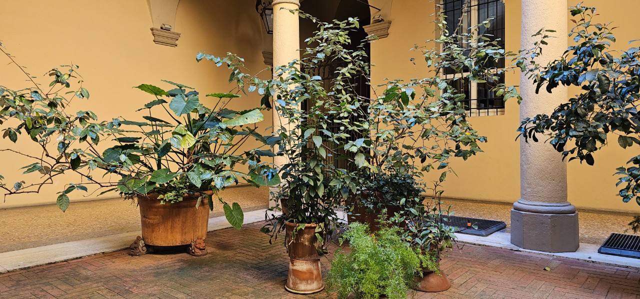 Vendita - Appartamento - Centro Storico - Bologna - € 520.000