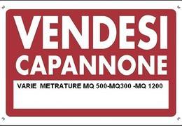 Capannone in vendita Reggio Emilia  -  Mancasale