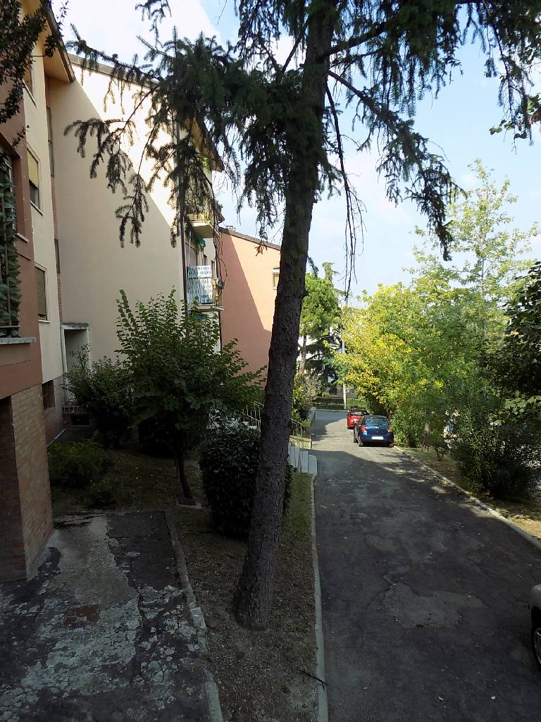 Appartamento in affitto a Colli Murri, Bologna (BO)
