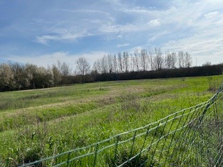 Lotto Edificabile in vendita Reggio Emilia Zona Quinzio