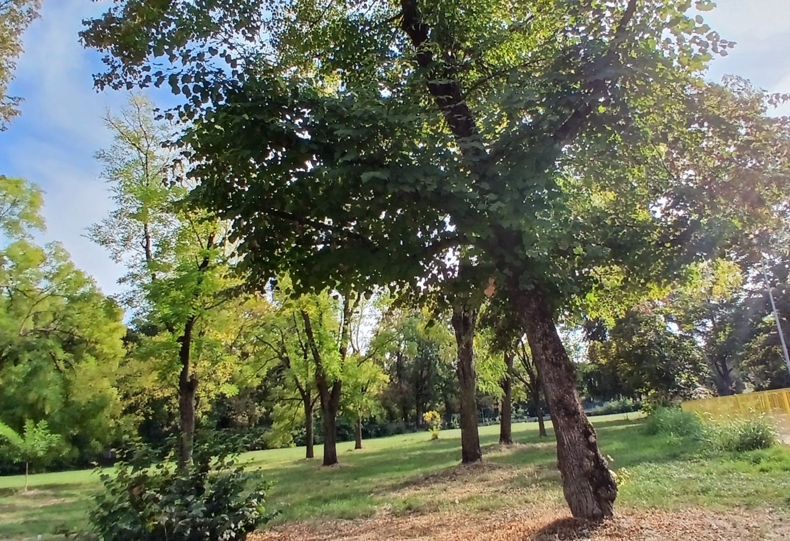 Appartamento in vendita Reggio Emilia Baragalla