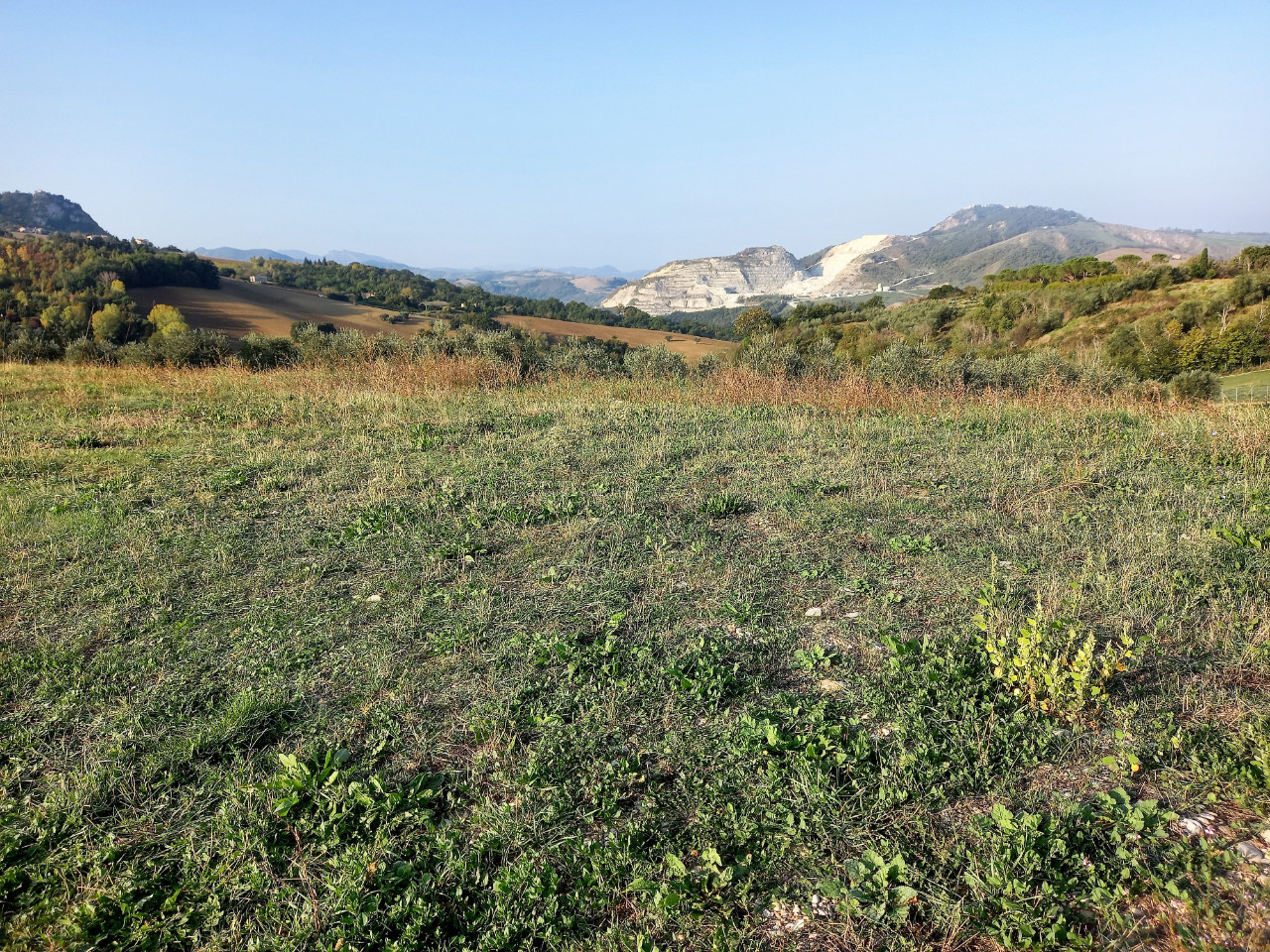 Lotto Edificabile in vendita Poggio Torriana