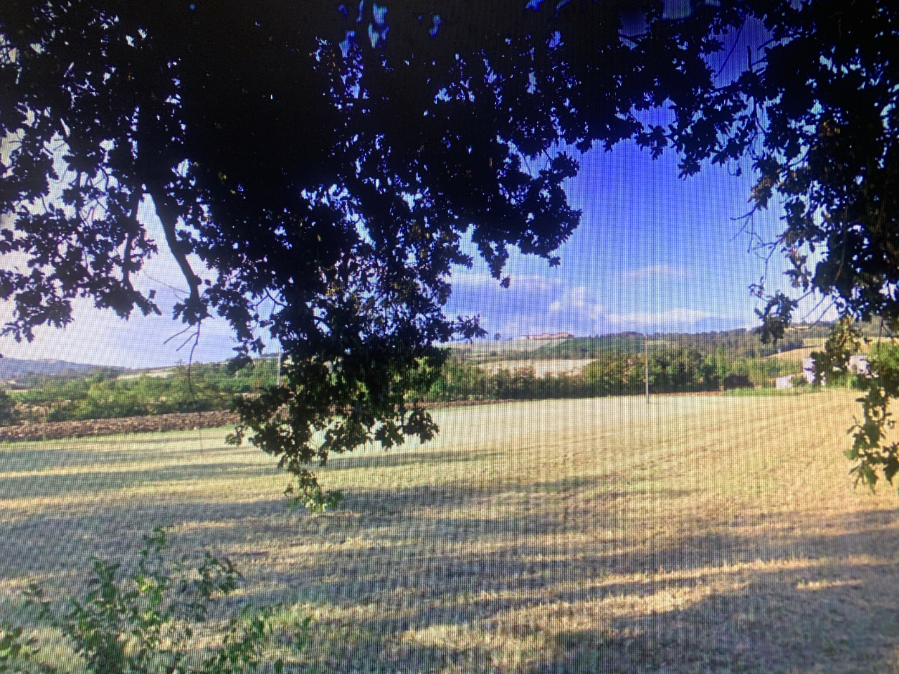 Terreno Agricolo in vendita Albinea