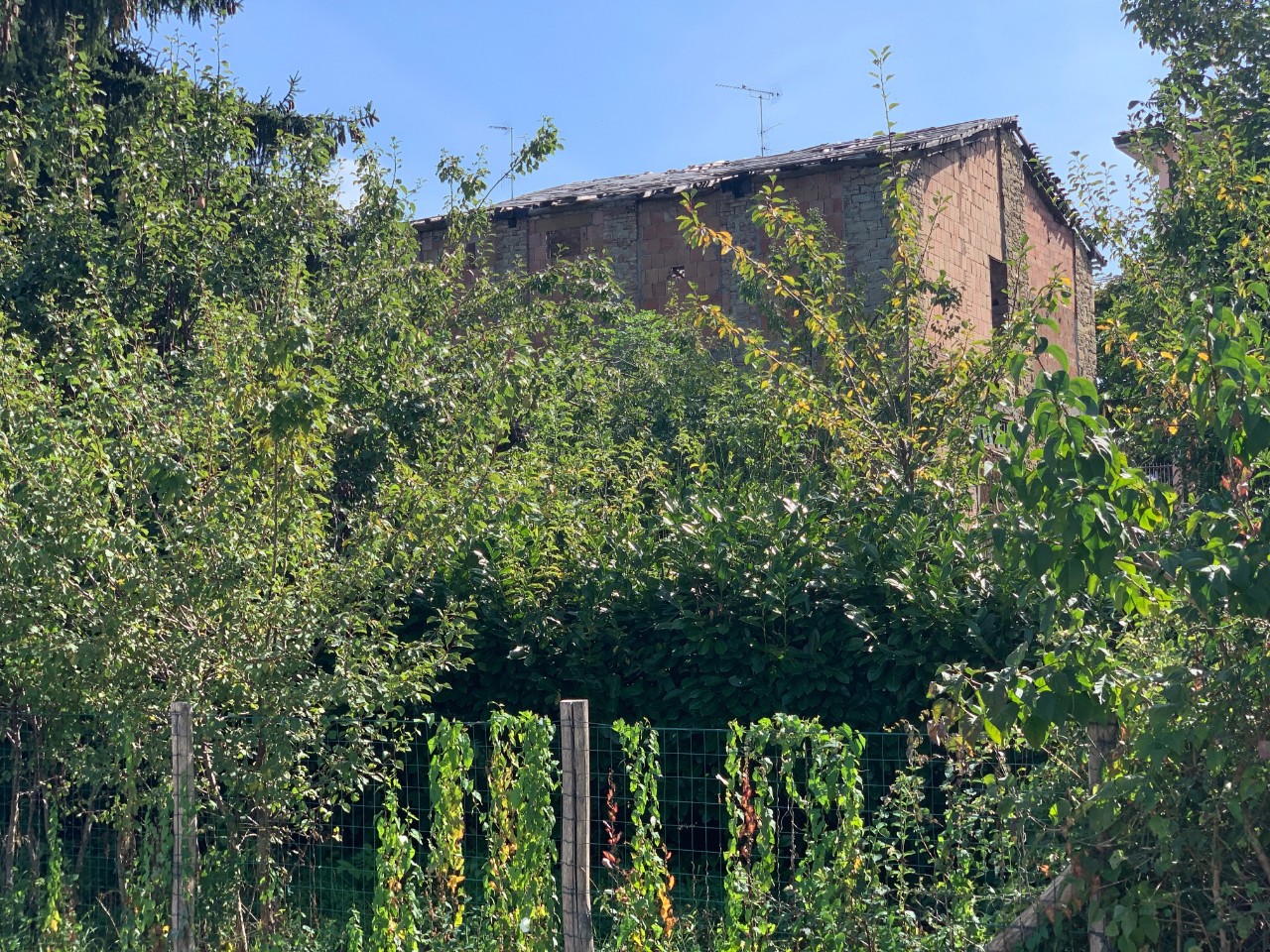 Lotto Edificabile  in vendita Castelnovo ne Monti