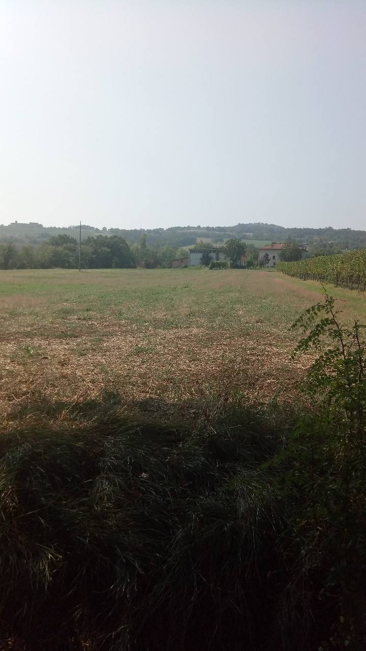 Terreno Agricolo in vendita Albinea