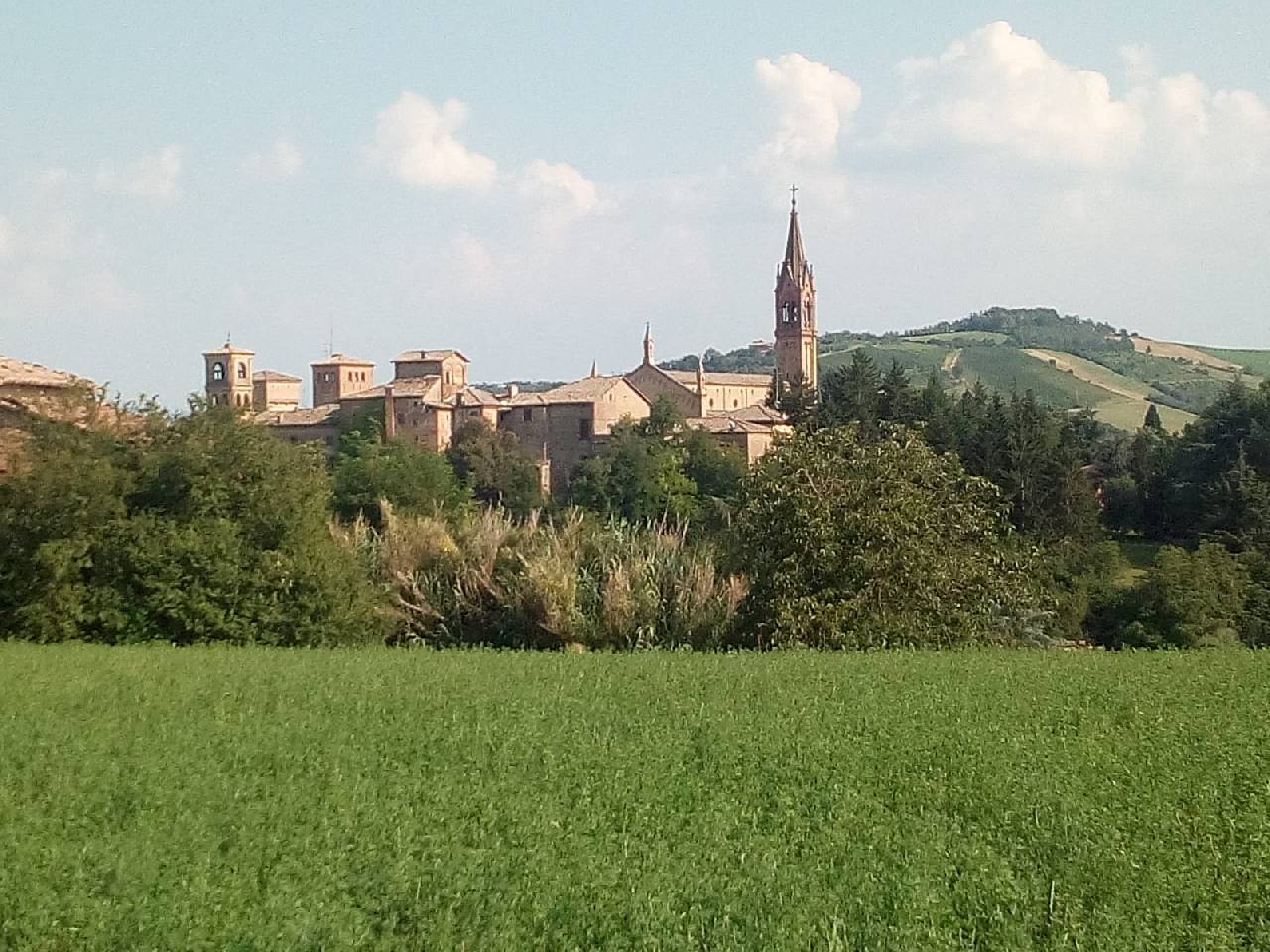 Lotto Edificabile in vendita Castelvetro di Modena