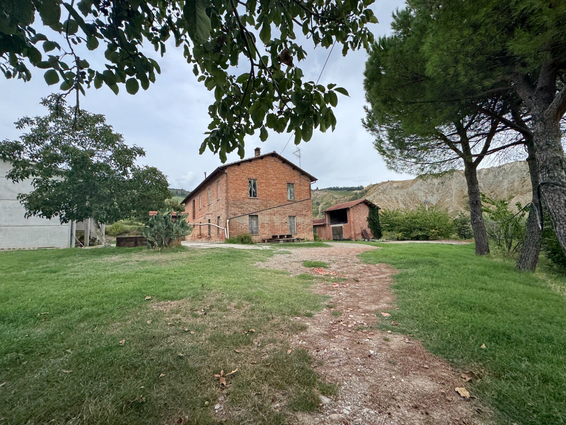 Podere (casa + Terreno) in vendita Casalfiumanese