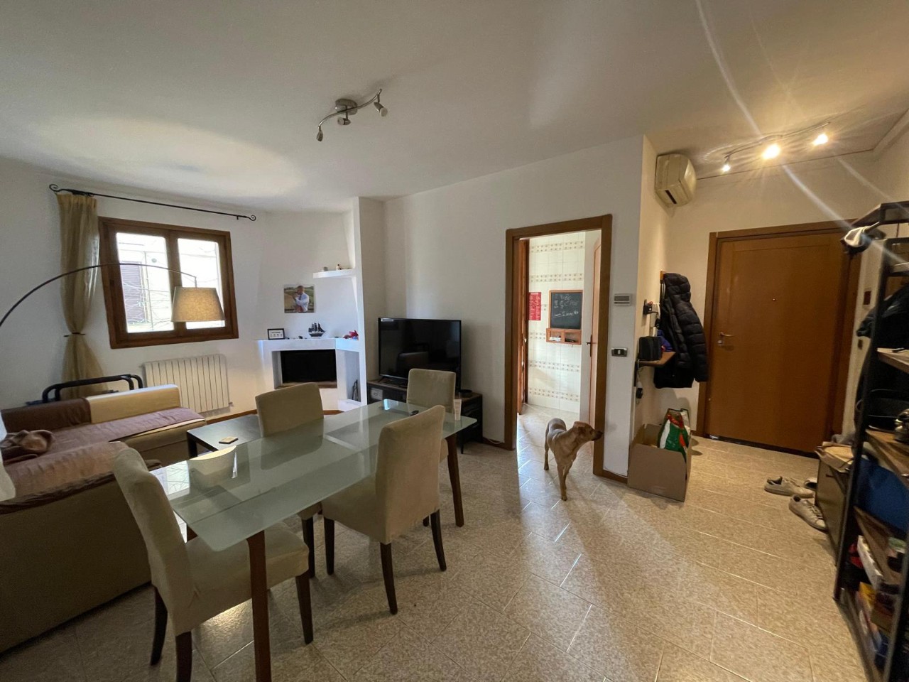Appartamento in affitto Modena Zona Fratelli Rosselli