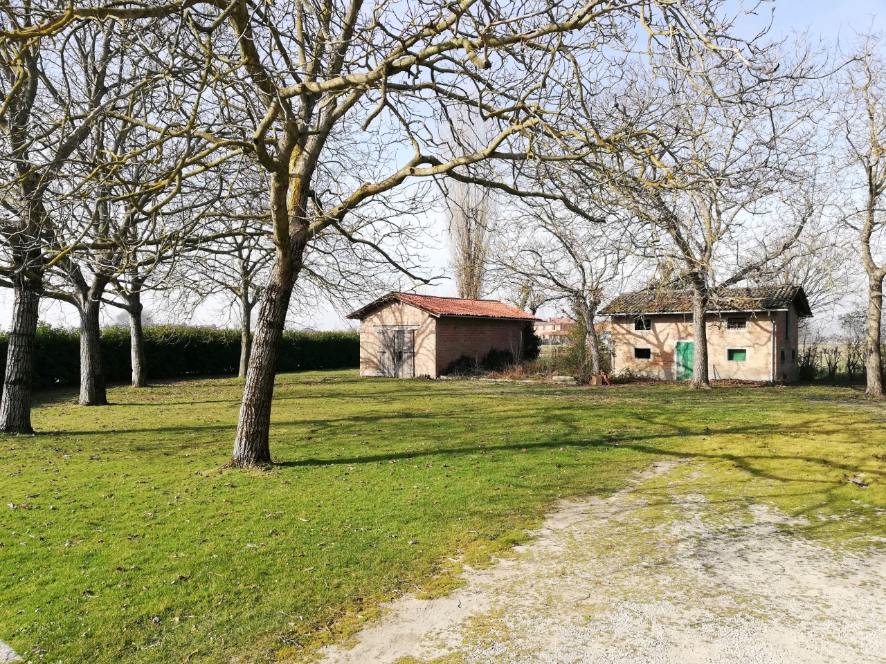 Rustico - Cascina CASTEL MAGGIORE vendita  Castel Maggiore  Immobiliare Castelmaggiore